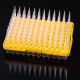 200ul Filtered Tips compatible with Universal Pipette Tips 4800/Case