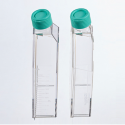 Tissue culture flask, TC-Treated, plug seal cap, Sterile