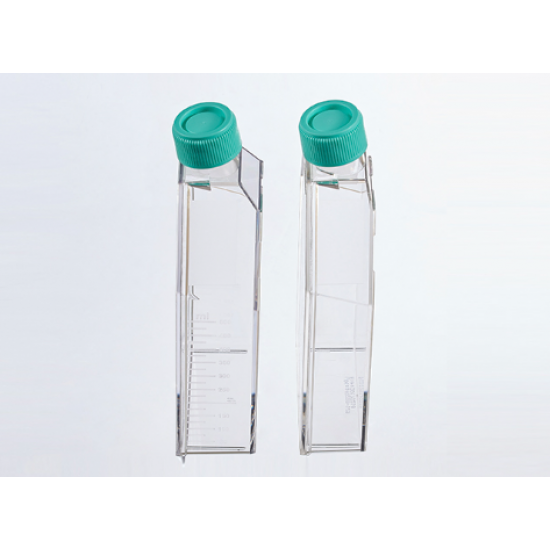 Tissue culture flask  600ml, TC-Treated, plug seal cap, Sterile