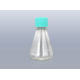 Erlenmeyer Flasks 250ml