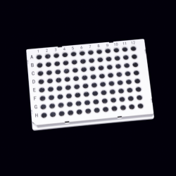 0.1ml Dual-color 96-well PCR Plate,Full skirt,Z17