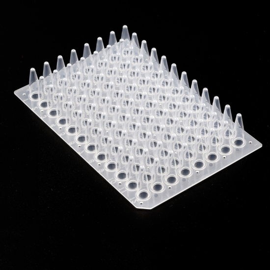 0.2ml 96-well PCR plate,no skirt,Z20 0.2ml 96-well PCR plate,no skirt,Z20