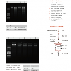 Blood Genomic DNA Miniprep Kit 100 Preps/Kit