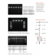 Multisource Total RNA Miniprep Kit 